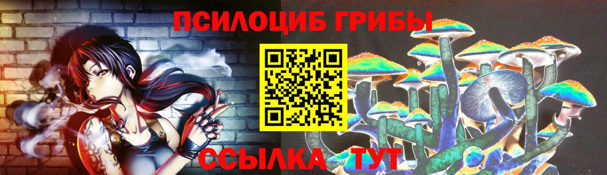 Псилоцибиновые грибы Psilocybine cubensis Киржач
